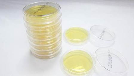 说明: C:\Users\hp\AppData\Local\Temp\WeChat Files\e05063b68101eb8e35d32e09e626d1cb.jpg