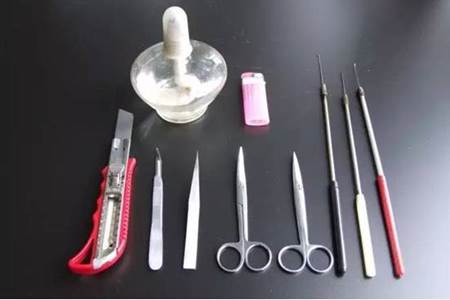 说明: C:\Users\hp\AppData\Local\Temp\WeChat Files\19a5059bc67fbd0f85a9d0a47a1df361.jpg