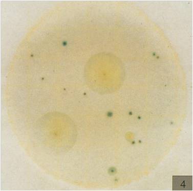 3M霉菌和酵母菌测试片 6417
